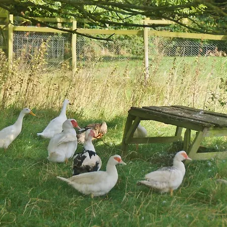 Rawcliffe House Farm * Pickering