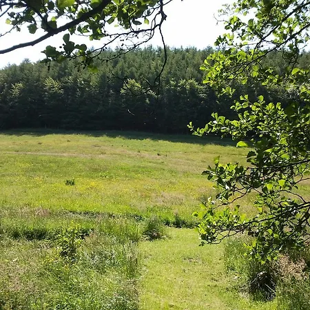 Rawcliffe House Farm Pickering