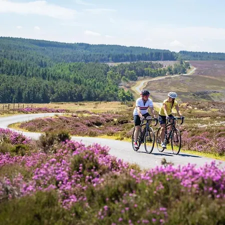 Rawcliffe House Farm Studios, Peaceful North York Moors Retreat Bauernhof