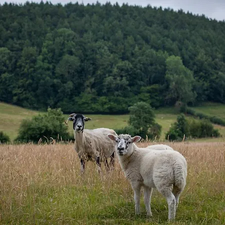 Rawcliffe House Farm Studios, Peaceful North York Moors Retreat Пикеринг