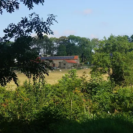 Фермерский дом Rawcliffe House Farm Studios, Peaceful North York Moors Retreat *