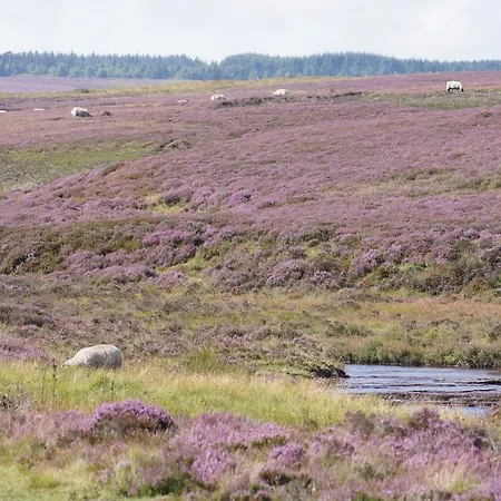 Rawcliffe House Farm Studios, Peaceful North York Moors Retreat *