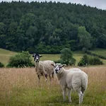 Rawcliffe House Farm Studios, Peaceful North York Moors Retreat Pickering